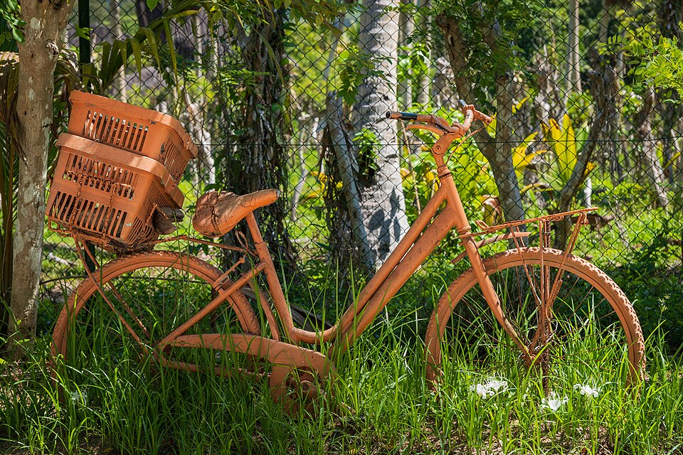 La Digue bicycle day — Seychelles