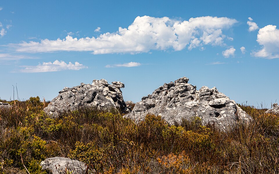 Table Mountain — Cape Town