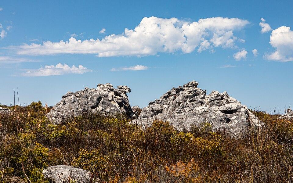 Table Mountain — Cape Town