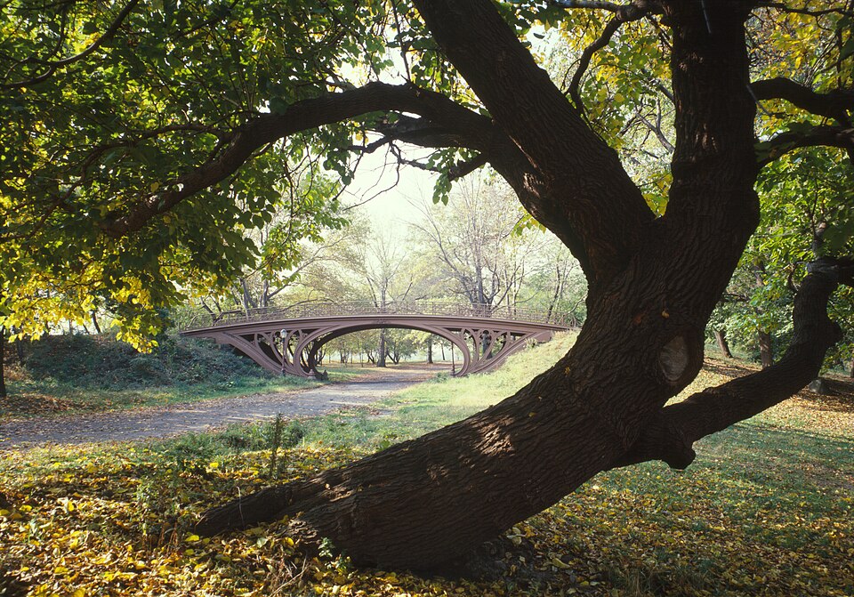 See Central Park — New York