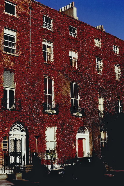 Georgian Dublin and St Stephen's Green — Dublin