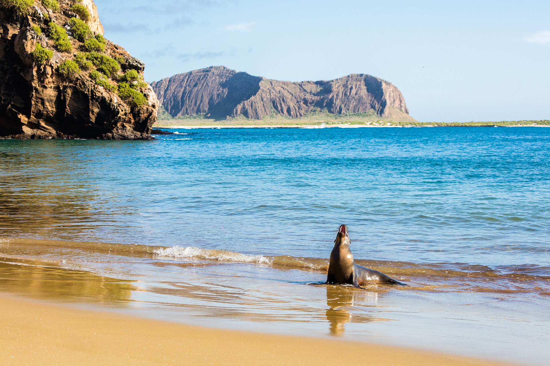 Best Wildlife, Safari, and Nature Destinations in 2026 travel guide image