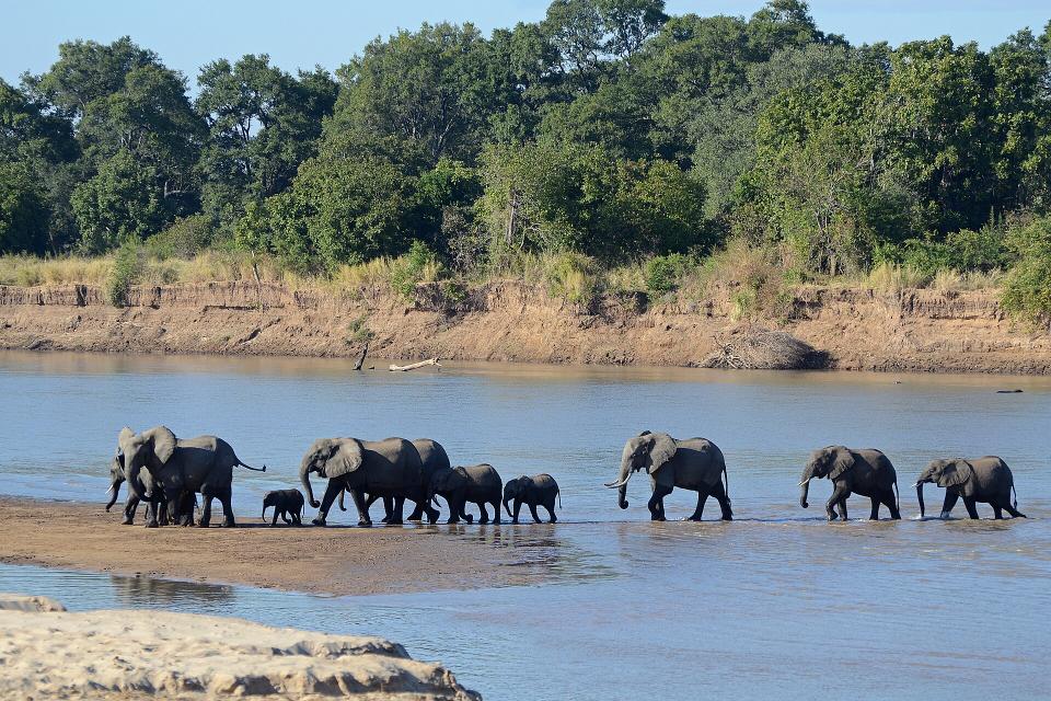 South Luangwa, Zambia