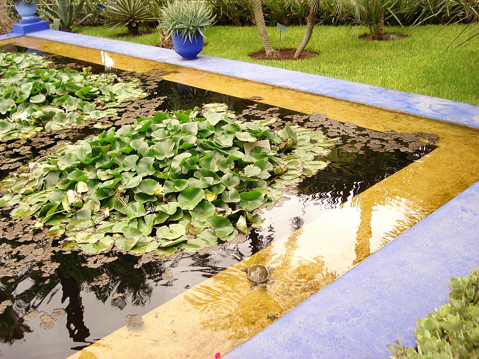 Majorelle Garden and YSL Museum — Marrakech