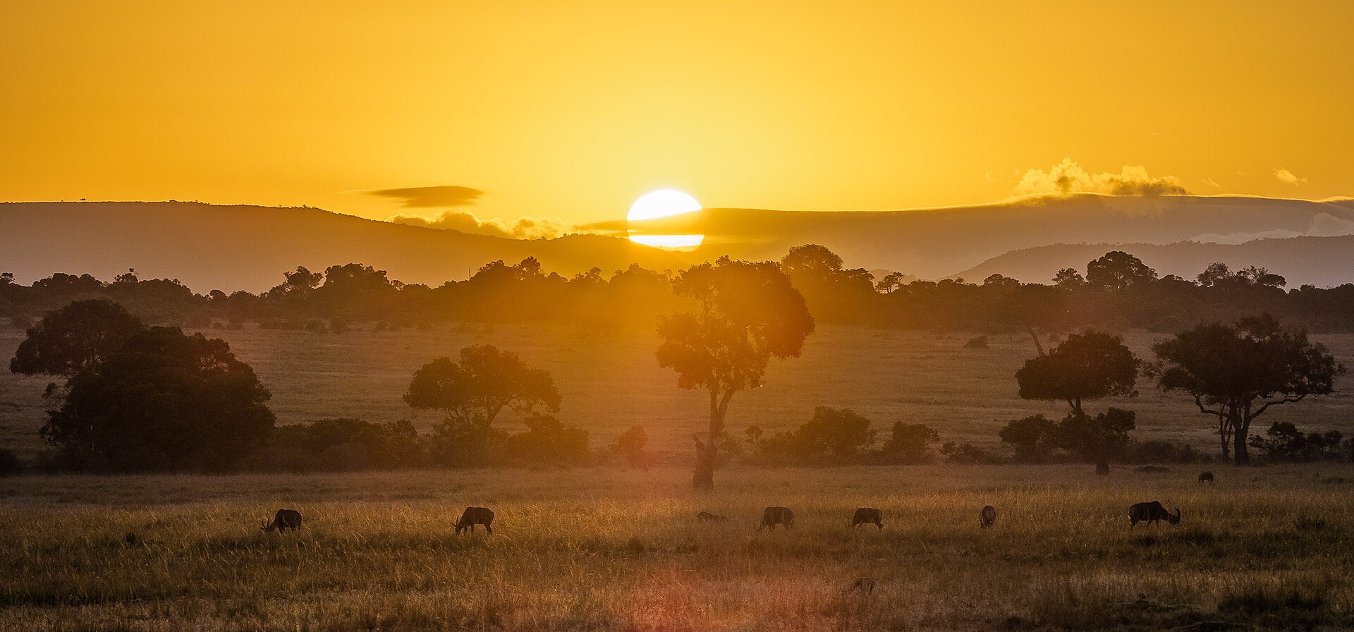 Best Safari Destinations for 2026 travel guide image